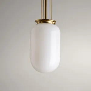 Alisse Collection One-Light Pendant Light