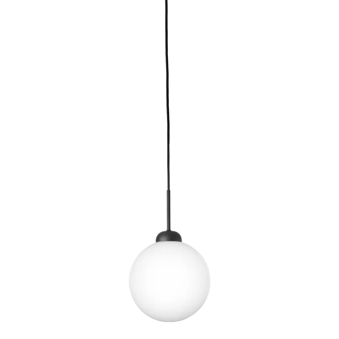 Apiales 1 Pendant