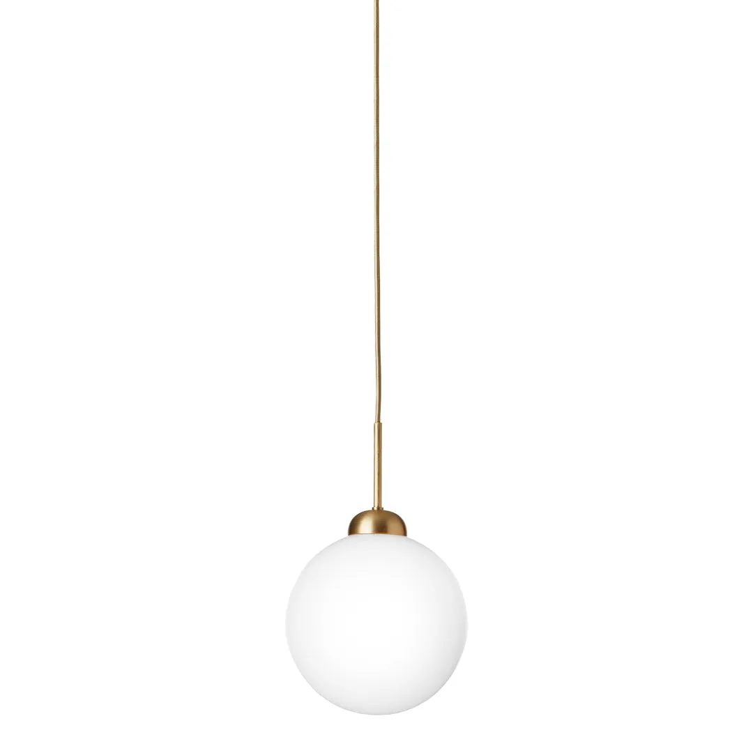 Apiales 1 Pendant