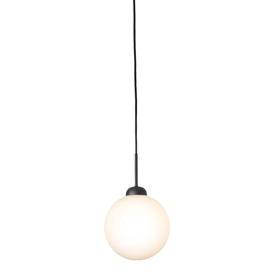 Apiales 1 Pendant