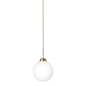 Apiales 1 Pendant