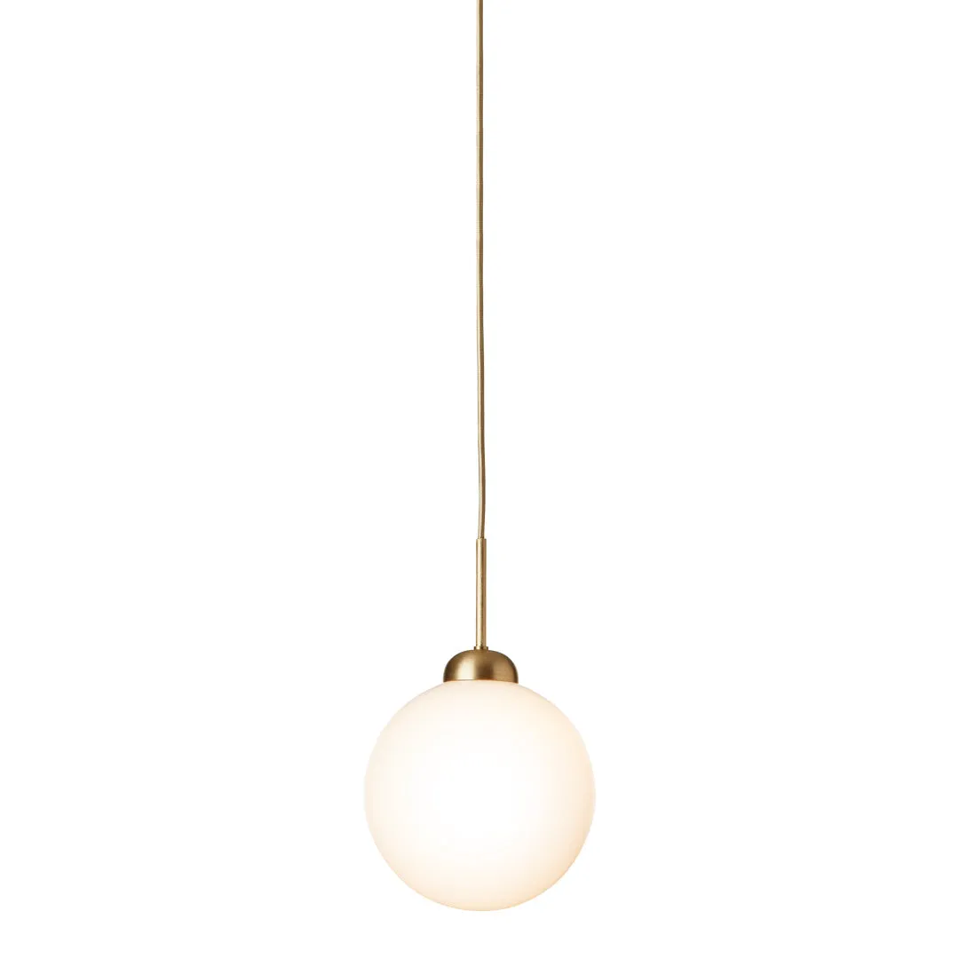 Apiales 1 Pendant