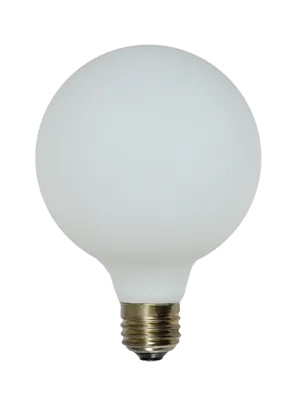 Bulb: LED - Porcelain Matte White 5" Globe