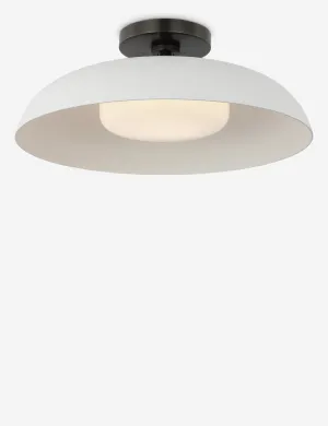 Cyrus Flush Mount Light by Amber Lewis