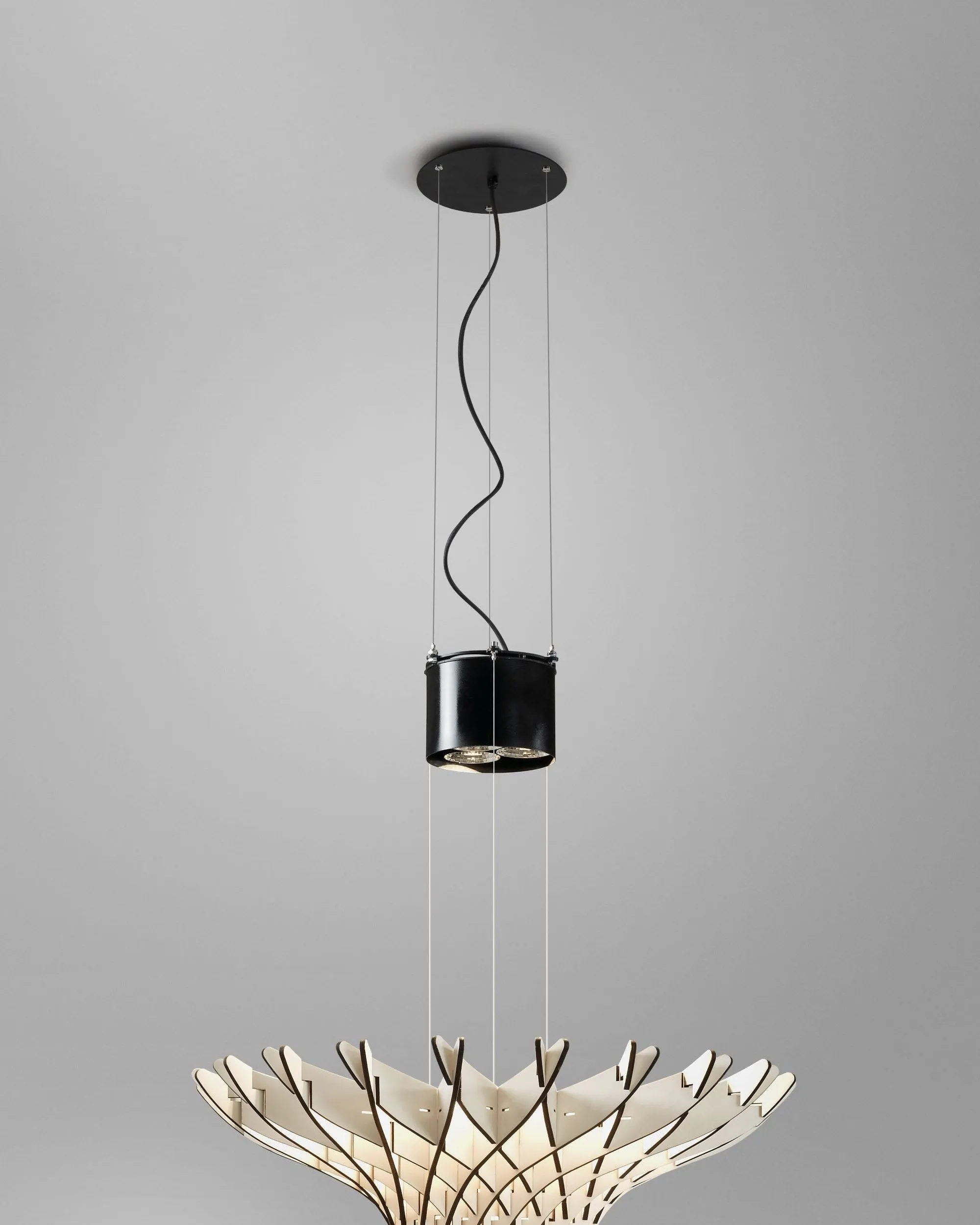 Designer Timber Dome Pendant Light