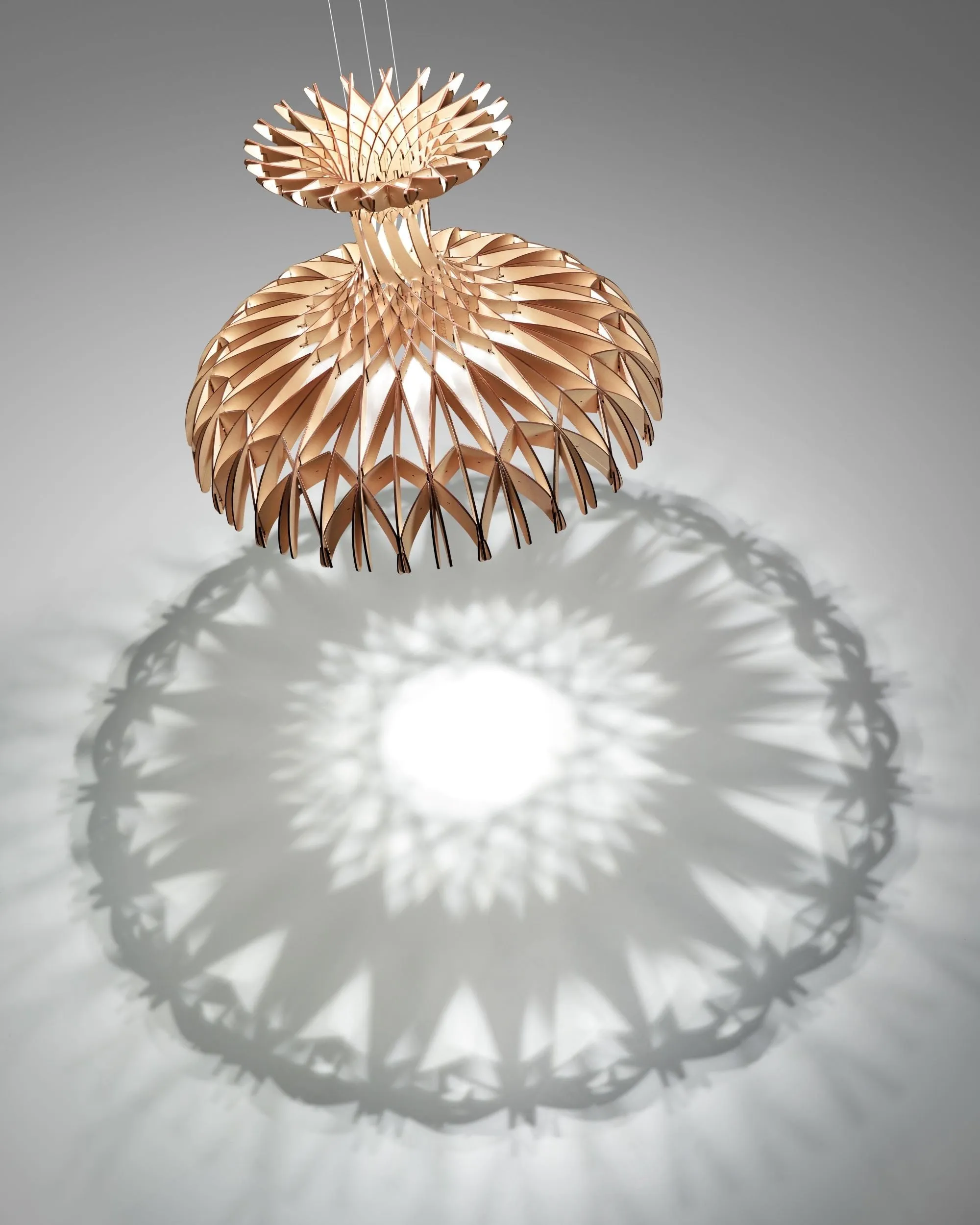 Designer Timber Dome Pendant Light
