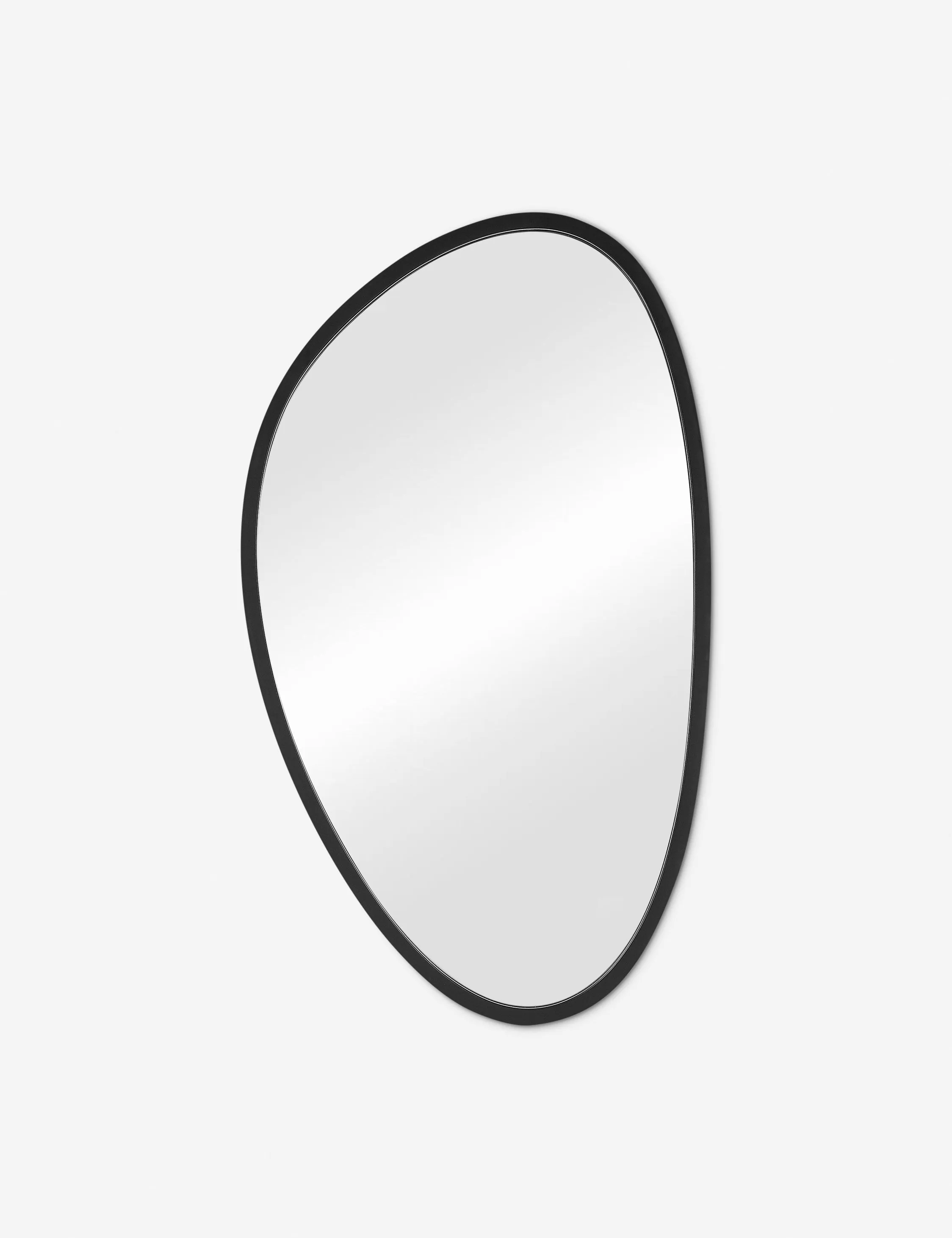 Fuji Mirror