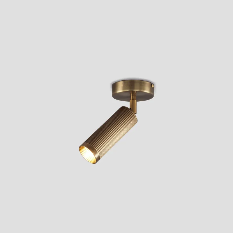 Modern Adjustable Ceiling Light