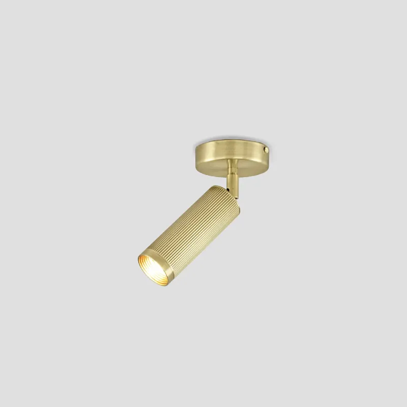 Modern Adjustable Ceiling Light