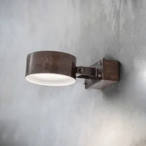Outdoor Adjustable Aged Brass Wall Light