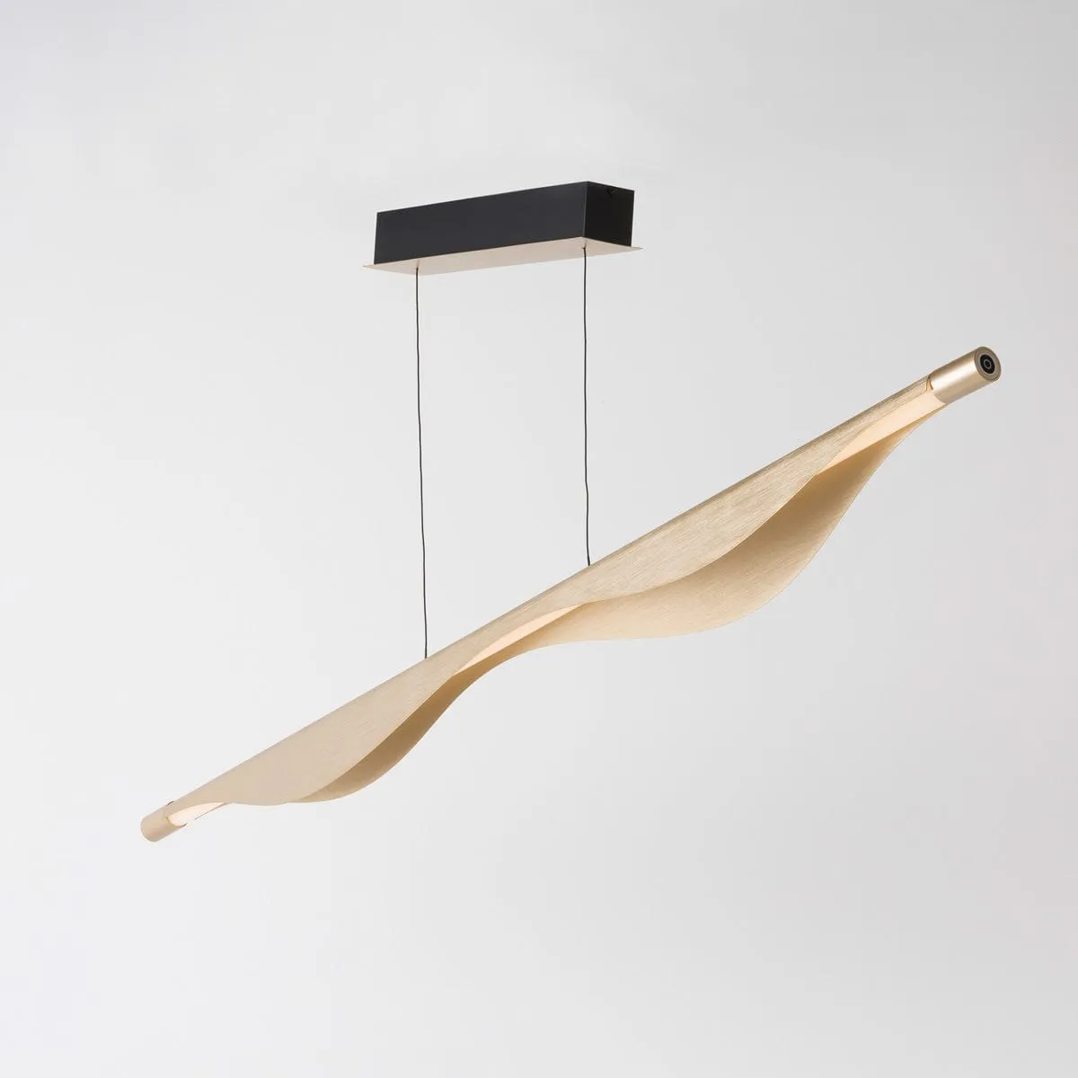RIAN LINEAR PENDANT LIGHT