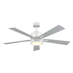 Trans Globe Arden Collection F-1032 WH Special Order Five Blade Ceiling Fan in White Finish